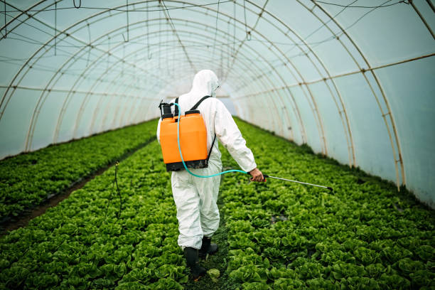 Best Local Pest Control Services  in Donalsonville, GA