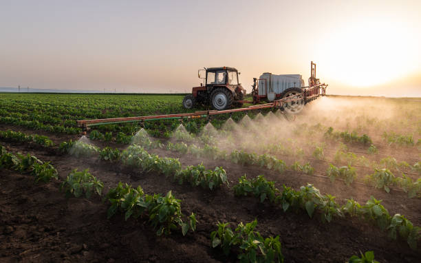 Best Commercial Pest Control Services  in Donalsonville, GA