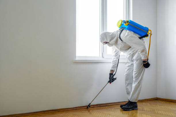 Best Mosquito Control Services  in Donalsonville, GA