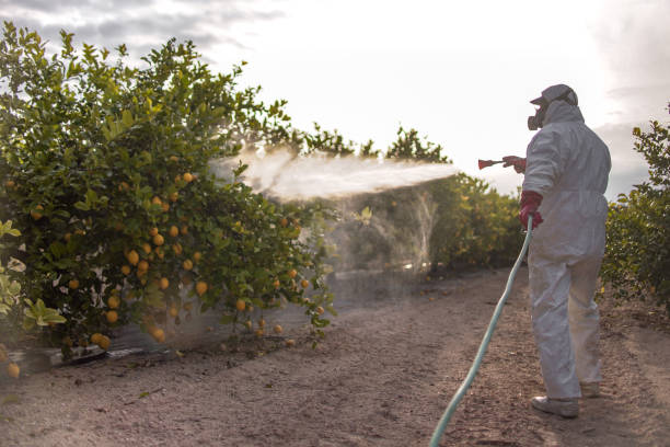 Best Flea Control Services  in Donalsonville, GA