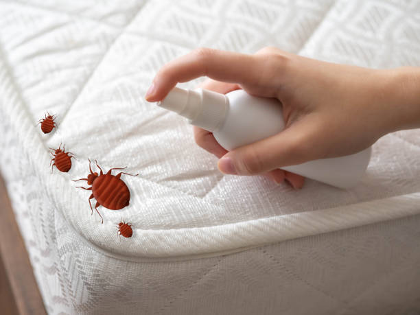 Best Commercial Pest Control Services  in Donalsonville, GA