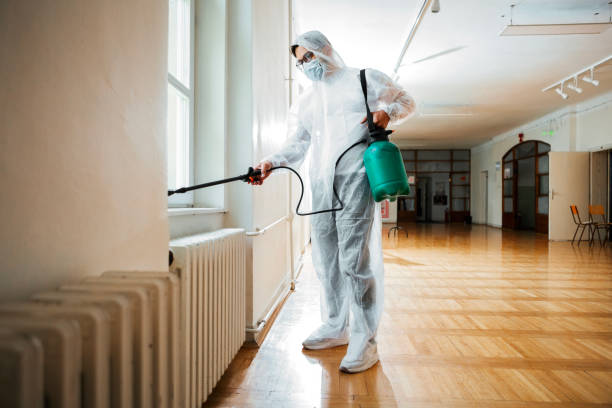 Best Flea Control Services  in Donalsonville, GA