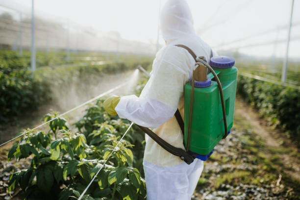 Donalsonville, GA Pest Control Pros